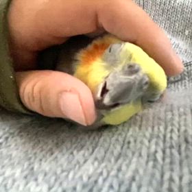 冬の名物！？秘密の甘えん坊ペーター！の画像