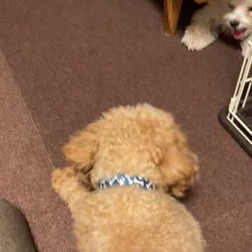 元気げんき！の画像