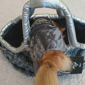 ここが一番好きなのの画像