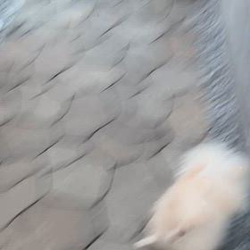 今日は成果の画像