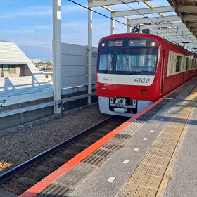 1000の画像