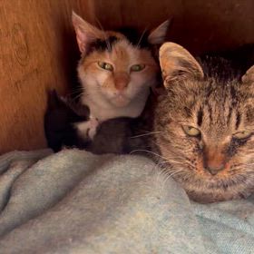 一家でくつろぎ の画像