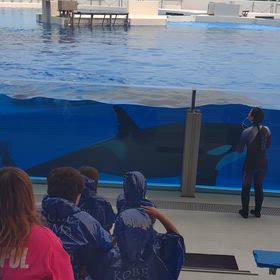 少しだけねの画像