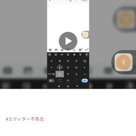 2月8日のブログ / アプリでの動画再生の画  像