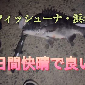 焼津・浜名湖で半日竿を出すの画像