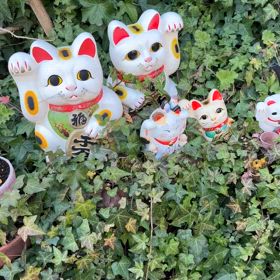 東京都台東区 〜今戸神社（招き猫の神社） | バッハの備忘録ブログ