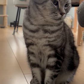 え！？！？の画像