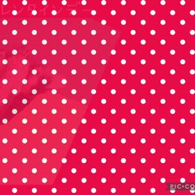 DOGXDOG ラックくんの画像