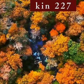 kin226のエネルギーの画像