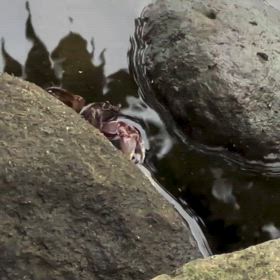 視界はどのくらいなのかな？の画像