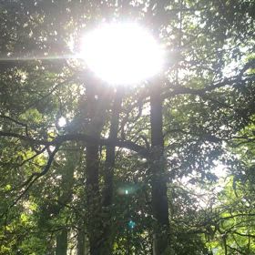 今日7月5日をすごすキーワードの画像