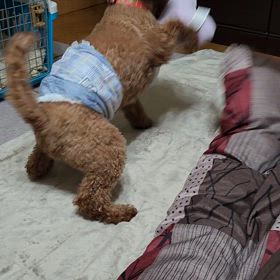 少しは慣れたかな？の画像