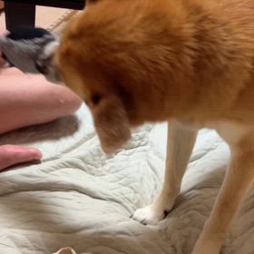 石岡八郷ベースの画像