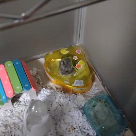 色々分かっているのか不思議の画像