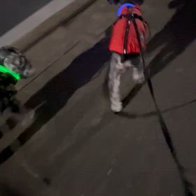 あれ？晴れないの？の画像