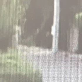 早朝も見てたけど。暫くして確認に行ってました。の画像