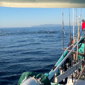 時化後３日ぶりに出たけど朝から激アツ！の画像