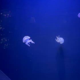 やる気　なしの画像