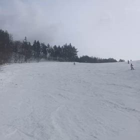 2024-25season39胎内スキー場でカービングレッスンの画像