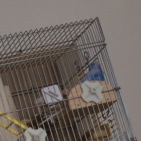 かれこれ( *´艸)の画像