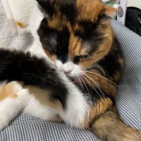 こんな時間だから〰︎     さぶちゃんの仕事の画像