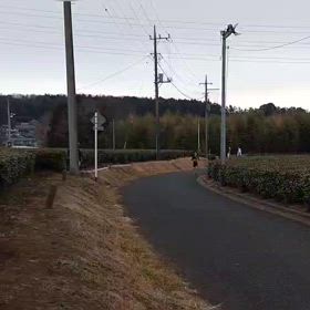 駅伝（坂頂点）③の画像