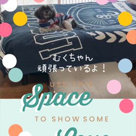 むくちゃん頑張っていますの画像