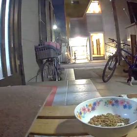 ごましおの兄弟？の画像