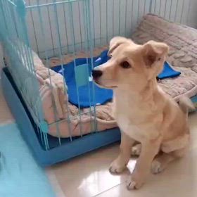 ご飯で苦労するなんて…(笑)の画像