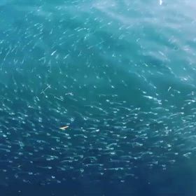 やる気スイッチの画像