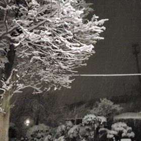 しんしん❄️の画像