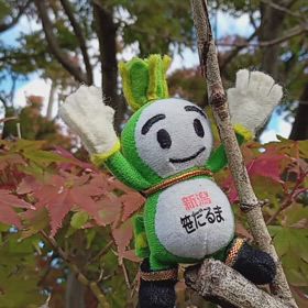 11/10の画像