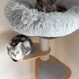 姉妹の距離感の画像