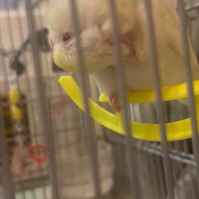 年末年始のお休み。の画像