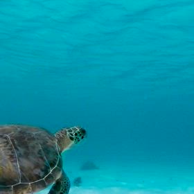 2024/03/14 今日の一言の画像