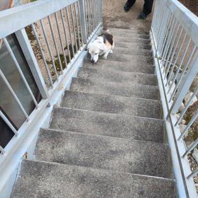 レッスンの画像