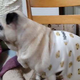 誕生日のケーキの画像