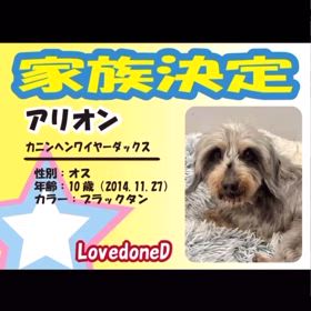 アリオン家族決定です！の画像