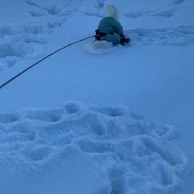 プーくん今日も元気に雪遊びの画像
