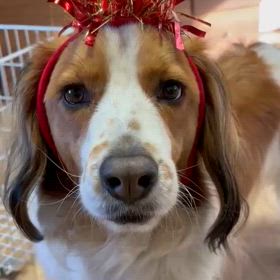 もうすぐみんなの誕生日の画像