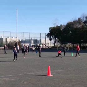 2/24 股関節・大股歩行③の画像