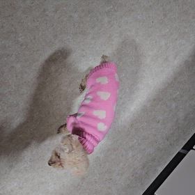 今日のママさんの画像