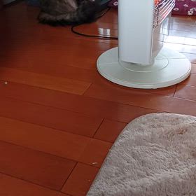 遊んでるの画像