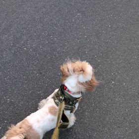 注意してねの画像