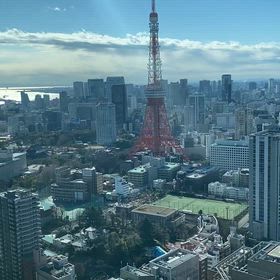 高いところから見る東京の景色の画像