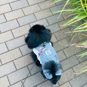 2025年12月2日　るな 4の画像