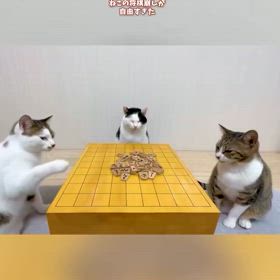 マイペースの画像