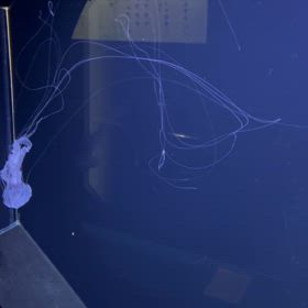 13回目の退院の画像