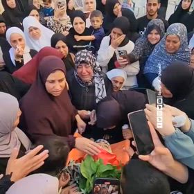 ガザ・ジェニン。　この「日常」を許すな！の画像