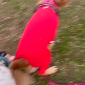 楽しい❗️嬉しい❗️の画像